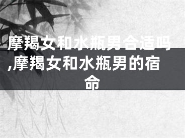 摩羯女和水瓶男合适吗,摩羯女和水瓶男的宿命
