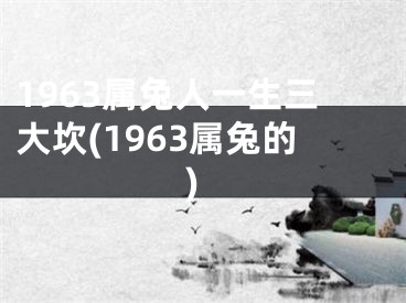 1963属兔人一生三大坎(1963属兔的)