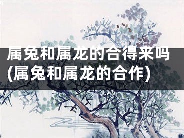属兔和属龙的合得来吗(属兔和属龙的合作)