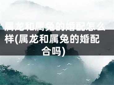 属龙和属兔的婚配怎么样(属龙和属兔的婚配合吗)