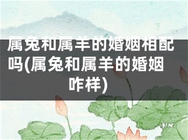 属兔和属羊的婚姻相配吗(属兔和属羊的婚姻咋样)