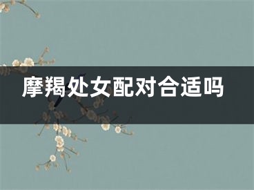摩羯处女配对合适吗