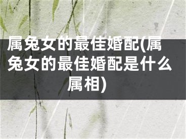属兔女的最佳婚配(属兔女的最佳婚配是什么属相)
