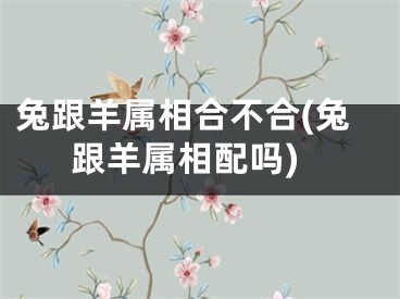 兔跟羊属相合不合(兔跟羊属相配吗)
