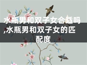 水瓶男和双子女合适吗,水瓶男和双子女的匹配度