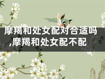 摩羯和处女配对合适吗,摩羯和处女配不配