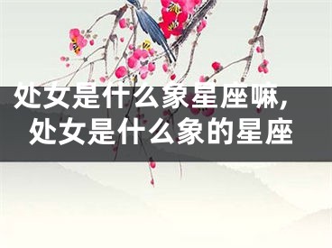 处女是什么象星座嘛,处女是什么象的星座