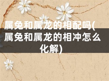 属兔和属龙的相配吗(属兔和属龙的相冲怎么化解)