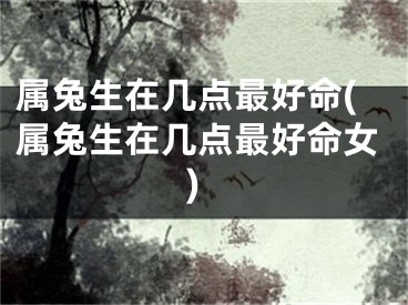 属兔生在几点最好命(属兔生在几点最好命女)