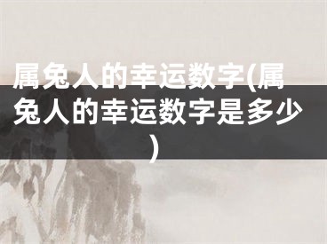 属兔人的幸运数字(属兔人的幸运数字是多少)