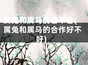 属兔和属马的合不合(属兔和属马的合作好不好)