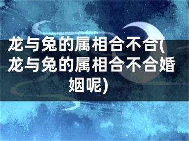 龙与兔的属相合不合(龙与兔的属相合不合婚姻呢)