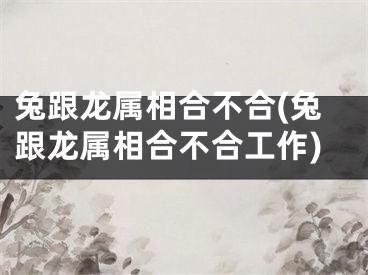 兔跟龙属相合不合(兔跟龙属相合不合工作)