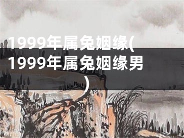 1999年属兔姻缘(1999年属兔姻缘男)