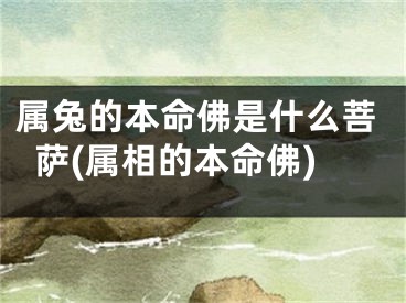 属兔的本命佛是什么菩萨(属相的本命佛)