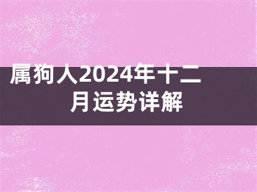 属狗人2024年十二月运势详解