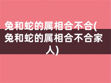 兔和蛇的属相合不合(兔和蛇的属相合不合家人)