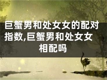 巨蟹男和处女女的配对指数,巨蟹男和处女女相配吗