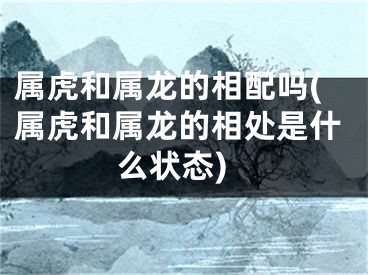 属虎和属龙的相配吗(属虎和属龙的相处是什么状态)