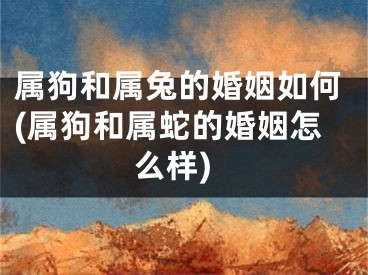 属狗和属兔的婚姻如何(属狗和属蛇的婚姻怎么样)