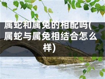 属蛇和属兔的相配吗(属蛇与属兔相结合怎么样)