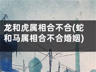 龙和虎属相合不合(蛇和马属相合不合婚姻)
