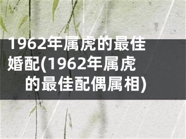 1962年属虎的最佳婚配(1962年属虎的最佳配偶属相)