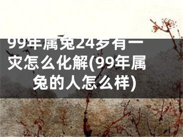 99年属兔24岁有一灾怎么化解(99年属兔的人怎么样)