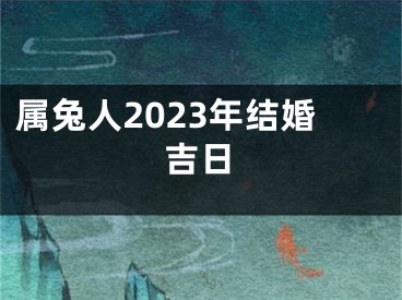 属兔人2023年结婚吉日