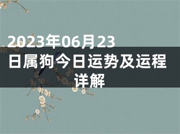 2023年06月23日属狗今日运势及运程详解