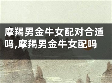 摩羯男金牛女配对合适吗,摩羯男金牛女配吗