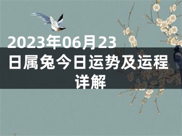 2023年06月23日属兔今日运势及运程详解
