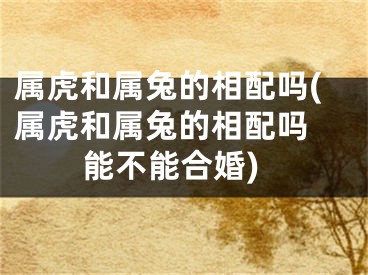 属虎和属兔的相配吗(属虎和属兔的相配吗 能不能合婚)