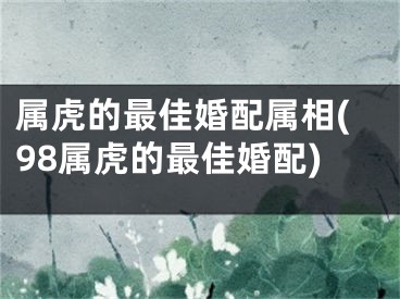 属虎的最佳婚配属相(98属虎的最佳婚配)