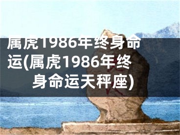 属虎1986年终身命运(属虎1986年终身命运天秤座)