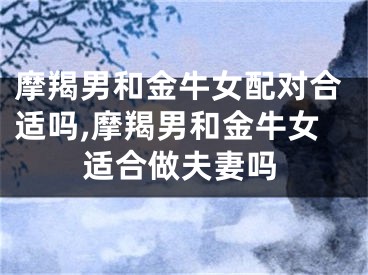 摩羯男和金牛女配对合适吗,摩羯男和金牛女适合做夫妻吗