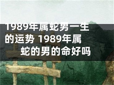 1989年属蛇男一生的运势 1989年属蛇的男的命好吗