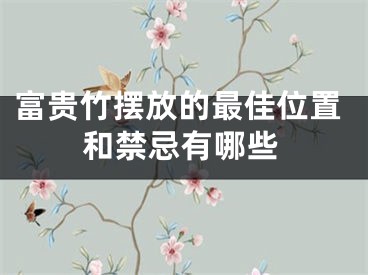 富贵竹摆放的最佳位置和禁忌有哪些