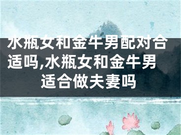 水瓶女和金牛男配对合适吗,水瓶女和金牛男适合做夫妻吗