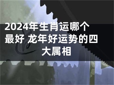 2024年生肖运哪个最好 龙年好运势的四大属相