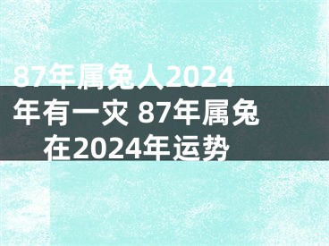 87年属兔人2024年有一灾 87年属兔在2024年运势