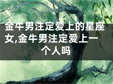 金牛男注定爱上的星座女,金牛男注定爱上一个人吗