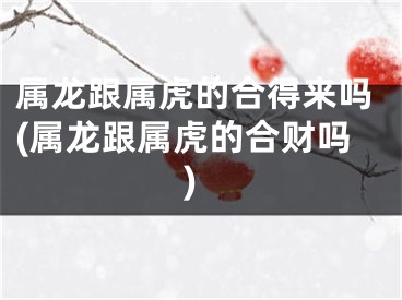 属龙跟属虎的合得来吗(属龙跟属虎的合财吗)
