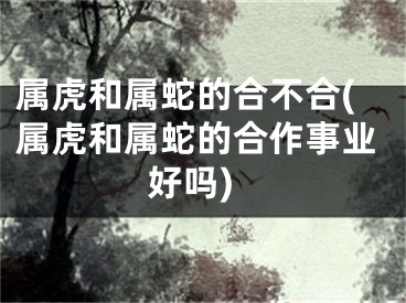 属虎和属蛇的合不合(属虎和属蛇的合作事业好吗)