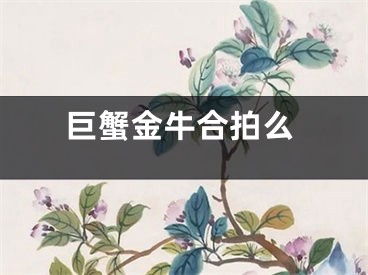 巨蟹金牛合拍么