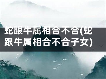 蛇跟牛属相合不合(蛇跟牛属相合不合子女)