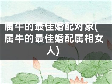 属牛的最佳婚配对象(属牛的最佳婚配属相女人)