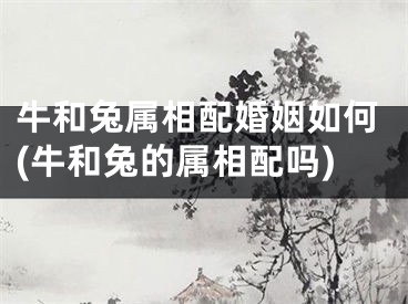 牛和兔属相配婚姻如何(牛和兔的属相配吗)
