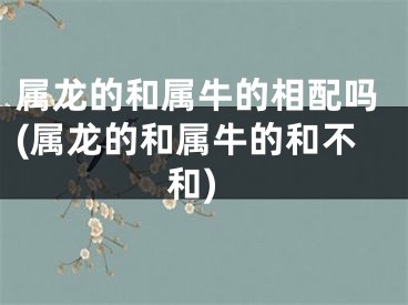 属龙的和属牛的相配吗(属龙的和属牛的和不和)