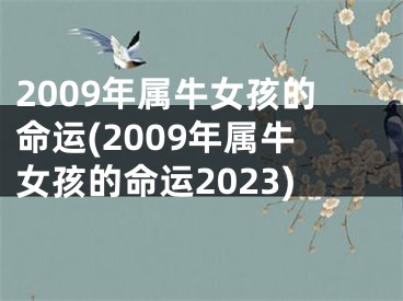 2009年属牛女孩的命运(2009年属牛女孩的命运2023)